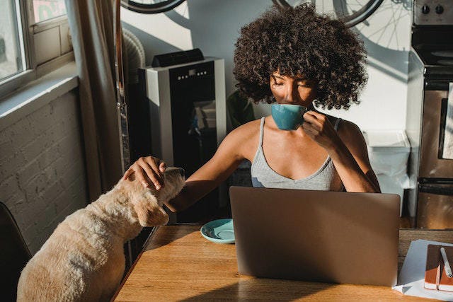 Job Trends 2023: What To Expect