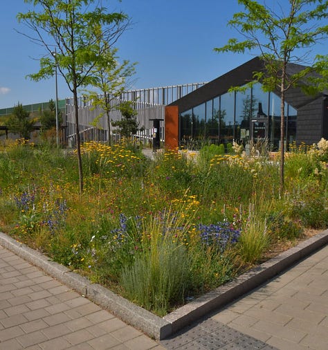 ecological planting design