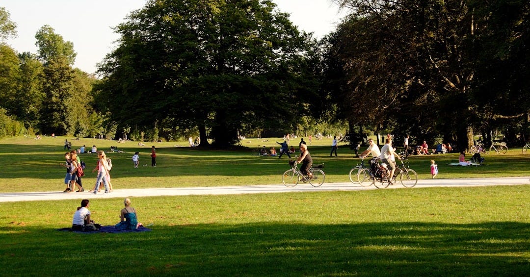 people playing soccer on green grass field during daytime