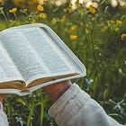 My Top 30 Bible Verses You Should Commit To Memory And Practice 