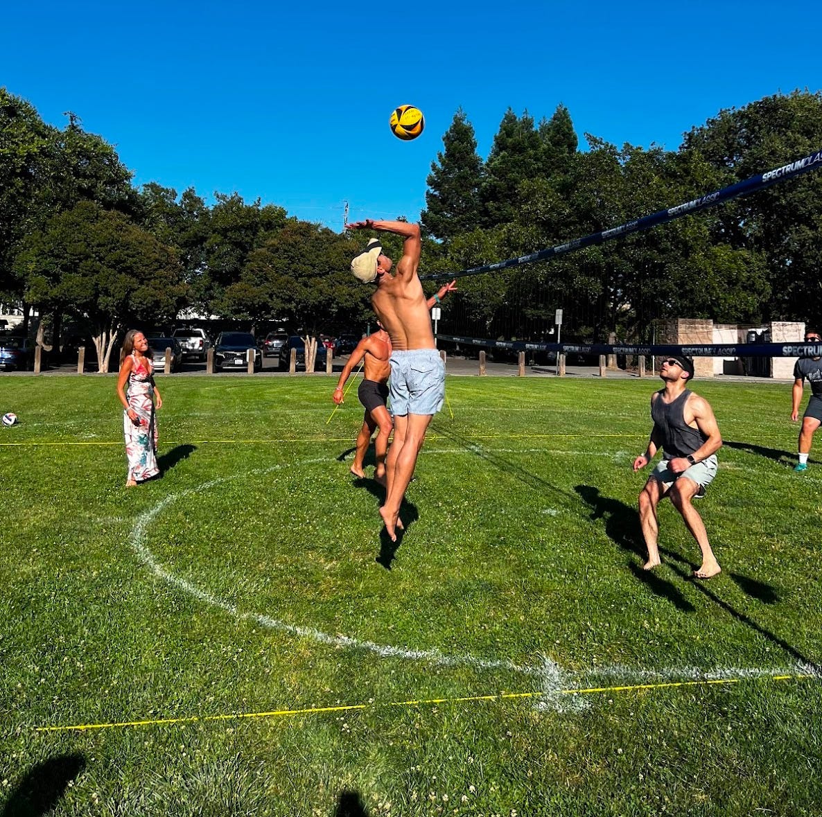 Grass volleyball and picnics in the park