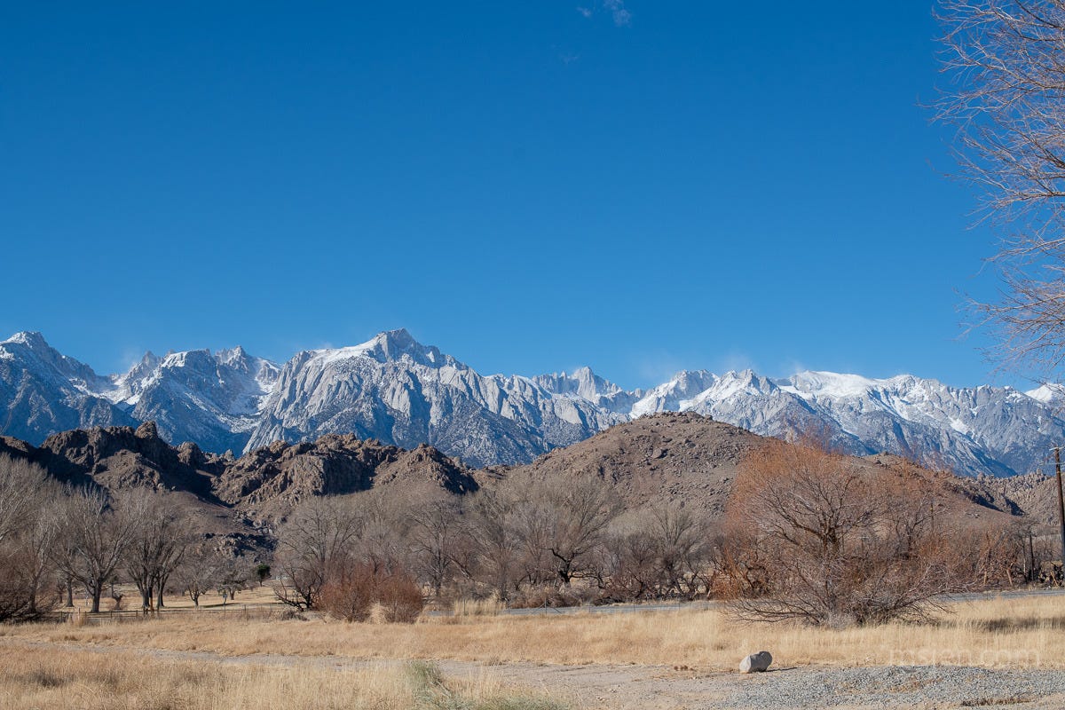 Three layers in the image: Background is the tall, new snow Eastern Sierra Mountains, Middle is the eroded old and rounded, rocky Alabama Hills, and the Foreground is winter nude trees and dry brittle yellow grass. Photo by Jenifer Hanen