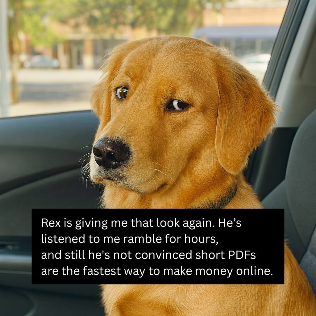 a dog named rex sits in the front seat of a car and looks out the side mirror