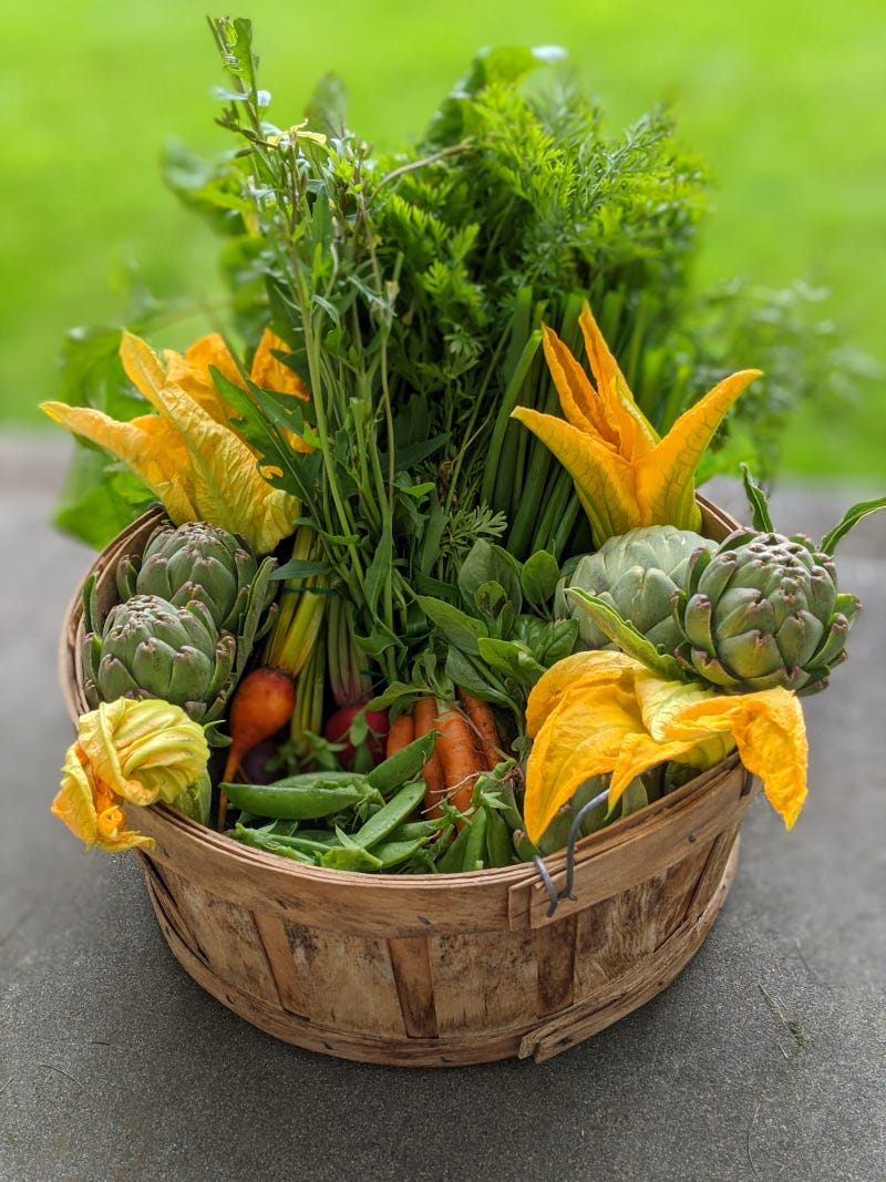 Garden 2