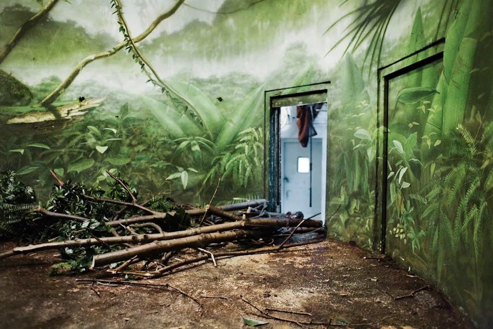 May be an image of outdoors