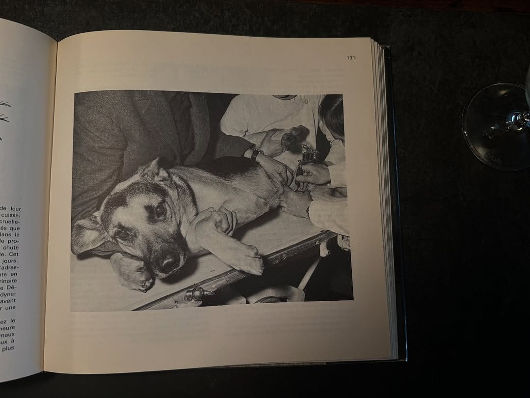 Artwork for Yogurtlord07