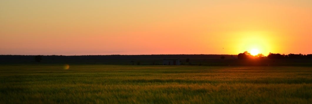 The sun is setting over a field of grass The sun is setting over a field of grass