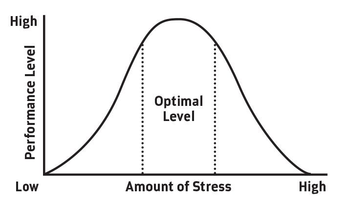 Speed, Sweat, and Science — The Physiological Challenges of Formula 1
