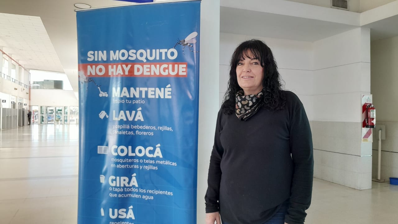 Día internacional de la lucha contra el Dengue: “En los países límitrofes ha bajado y eso hay que aprovecharlo” Día internacional de la lucha contra el Dengue: “En los países límitrofes ha bajado y eso hay que aprovecharlo”