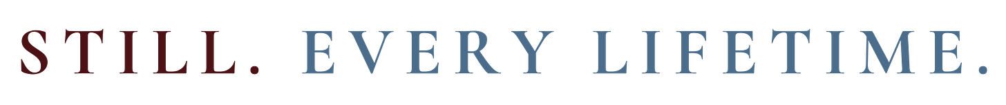 $12 card game that saved Christmas Marble switch plates you're all searching for $39 Lowe's olive trees that don't die Fideo recipe for cold weather Free home maintenance checklist