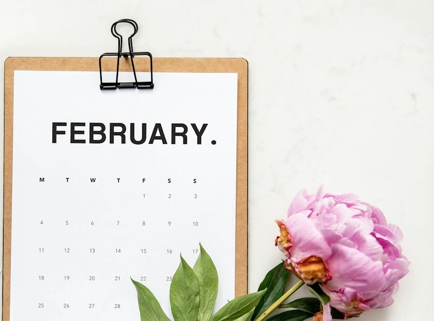 minimalist photography of a calendar and pink-petaled flower
