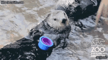 Unstackable GIFs | Tenor