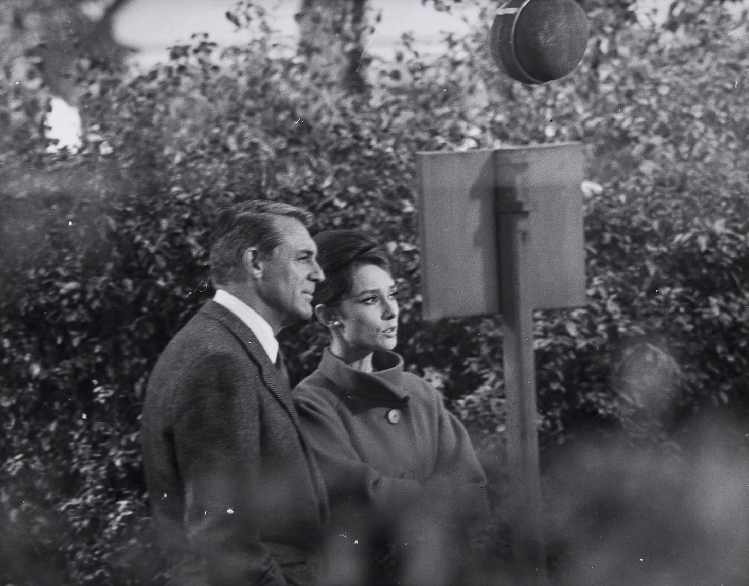 Aldo Palazzi | Audrey Hepburn and Cary Grant in Charade (1962) | MutualArt