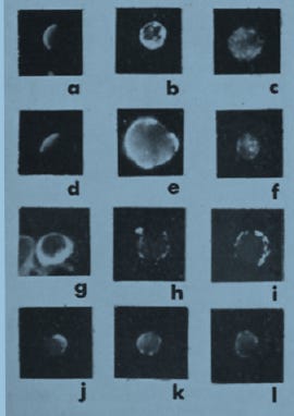 A collage of images of planets

AI-generated content may be incorrect.