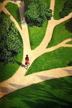 The Many Paths Thanks Can Take