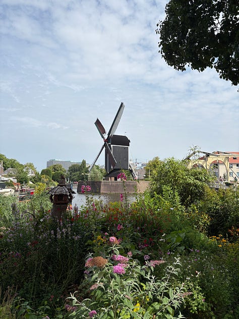 Highlights of our first week in the Netherlands