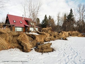 OLYMPUS DIGITAL CAMERA OLYMPUS DIGITAL CAMERA