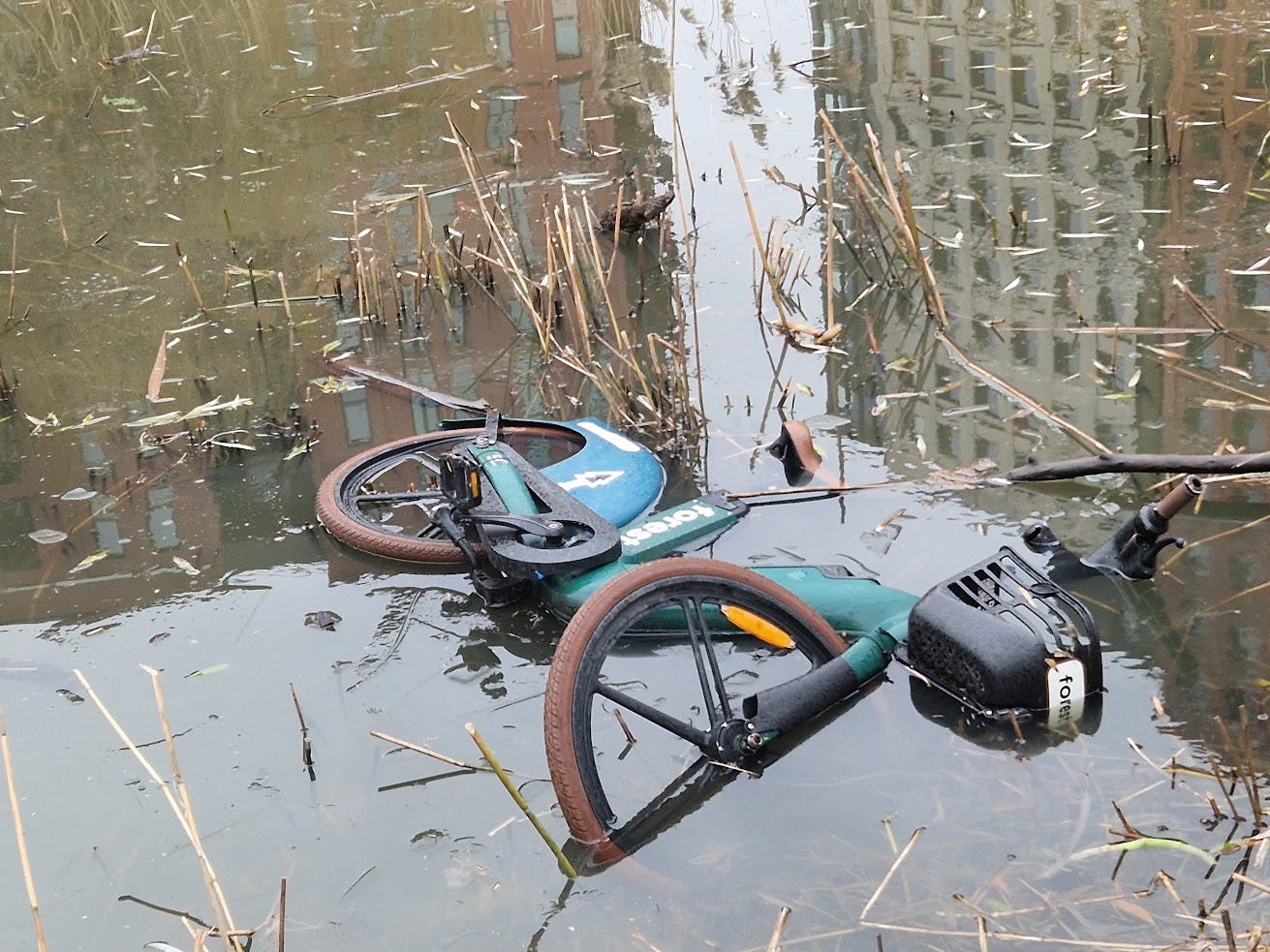 Bicycle Ride Sinking Adventure DROWNED BIKE - by Garth Cartwright - YAKETY YAK
