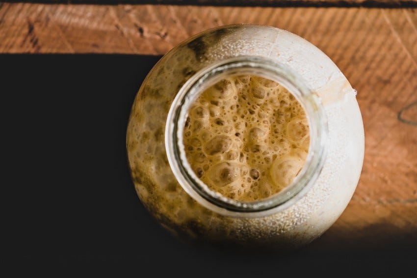yeast yeast