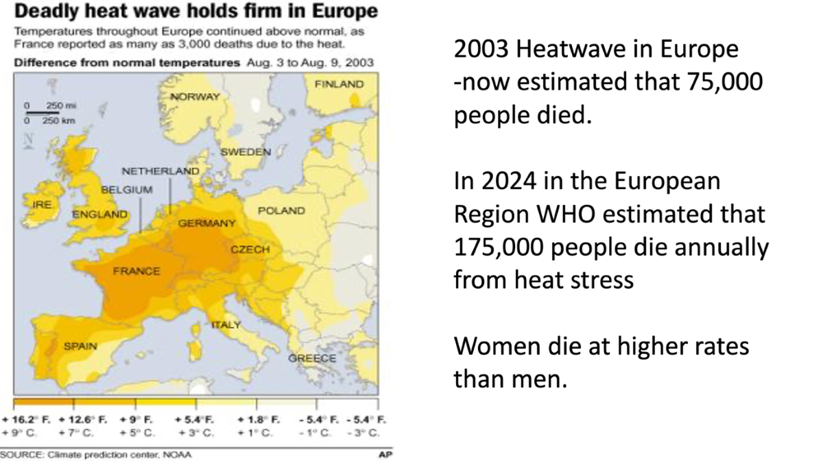 2003 heatwave map 2003 heatwave map
