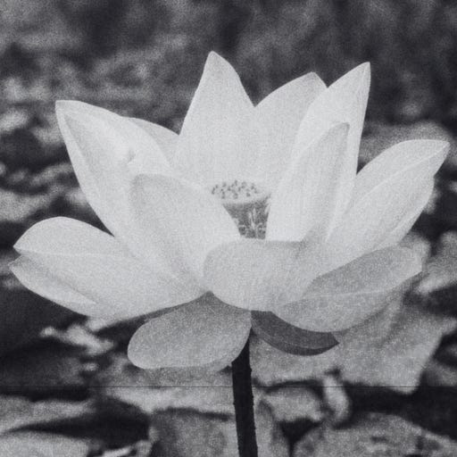 Thought Garden