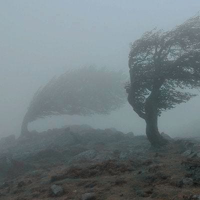 comfortable in the loneliness | Journal Excerpt + Mood Board