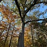 A Place to Stand
