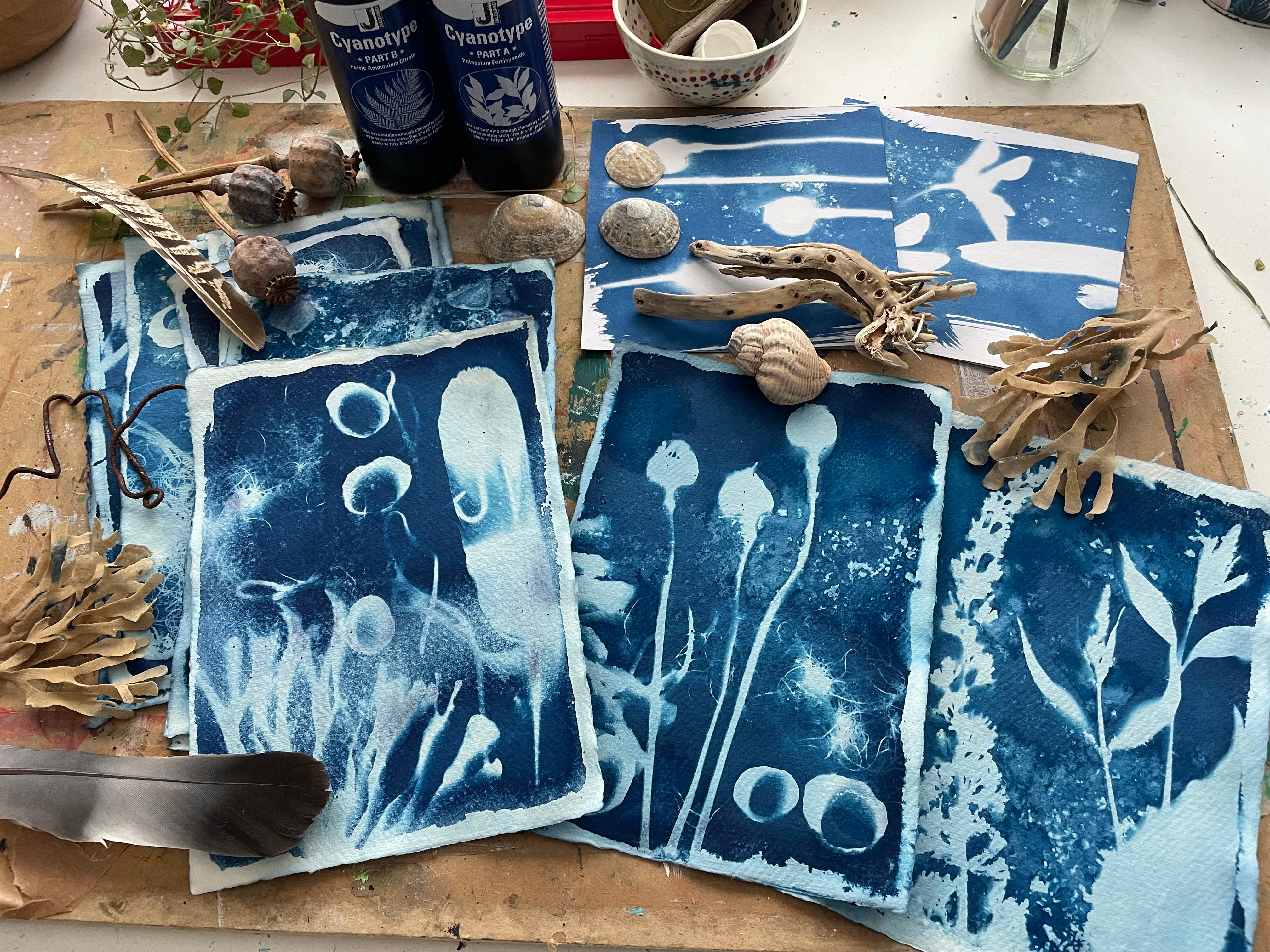 Experimenting with Cyanotypes - Sarah Catchpole