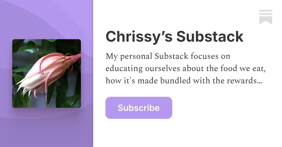 Chrissy’s Substack | Substack
