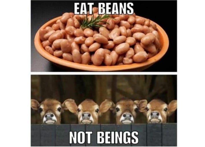 Beans provide protein, fiber, and essential nutrients without cruelty or environmental destruction. Beings, on the other hand, feel pain, form bonds, and want to live. Eating plants sustains life; eating animals takes it. Choose compassion, health, and sustainability—eat beans, not beings. 🌱 Beans provide protein, fiber, and essential nutrients without cruelty or environmental destruction. Beings, on the other hand, feel pain, form bonds, and want to live. Eating plants sustains life; eating animals takes it. Choose compassion, health, and sustainability—eat beans, not beings. 🌱