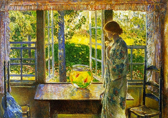 A person standing in front of a window looking at a goldfish bowl

Description automatically generated