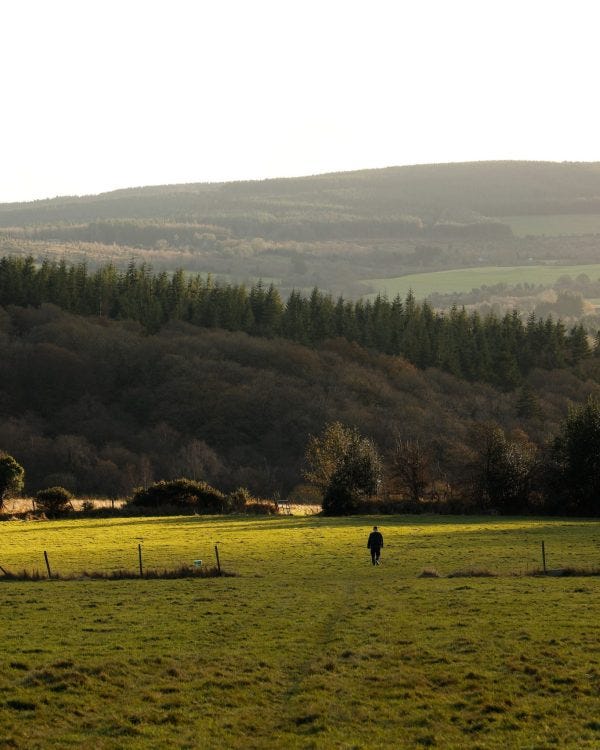 Rolling hills Tigin Samsu