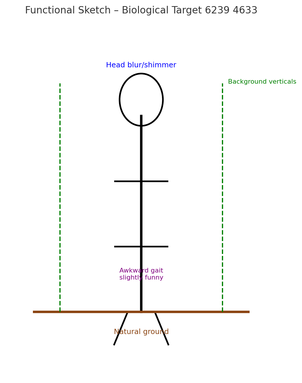 Stick-like upright figure with an oversized oval head, arms extended, and thin legs spread on natural ground. Head is labeled as blurred or shimmering in blue. Purple text near the legs notes an awkward, slightly funny gait. Green dashed lines represent background verticals like trees. Stick-like upright figure with an oversized oval head, arms extended, and thin legs spread on natural ground. Head is labeled as blurred or shimmering in blue. Purple text near the legs notes an awkward, slightly funny gait. Green dashed lines represent background verticals like trees.