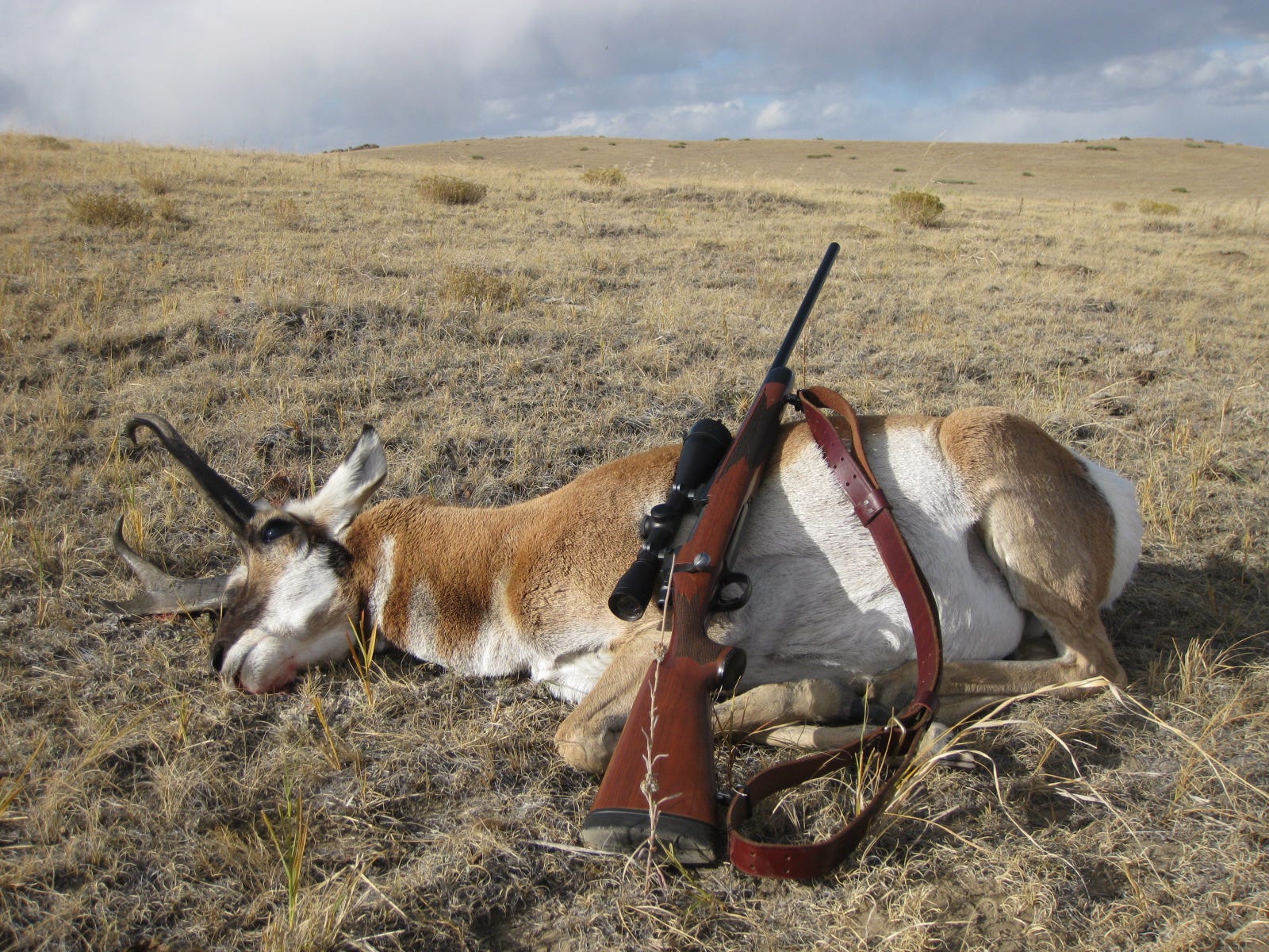 The Blue Cyclone! - by Guy Miner - Guy’s Substack