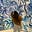 Avatar de Carolina Tovac
