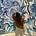 Avatar de Carolina Tovac