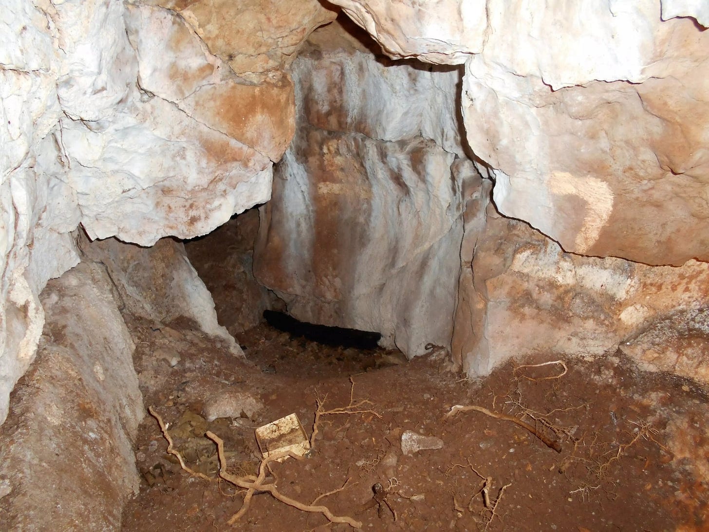 DNA analysis reveals Northern Britain's oldest human remains are of a young female child