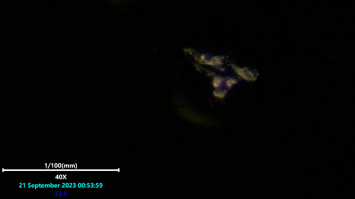 Laser scanning microscopy of hydrogel polymerizing in to a structure from inside the center of the gel area.
