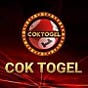 COK TOGEL's avatar