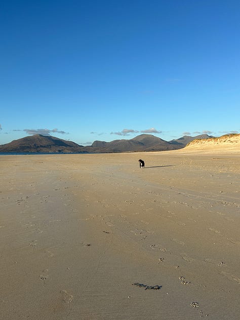 Photographs of Luskentyre Beach with Billy the Collie