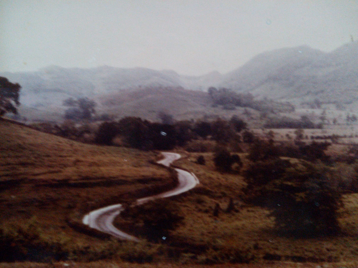 A winding road through pastures goes towards rolling hills in the background