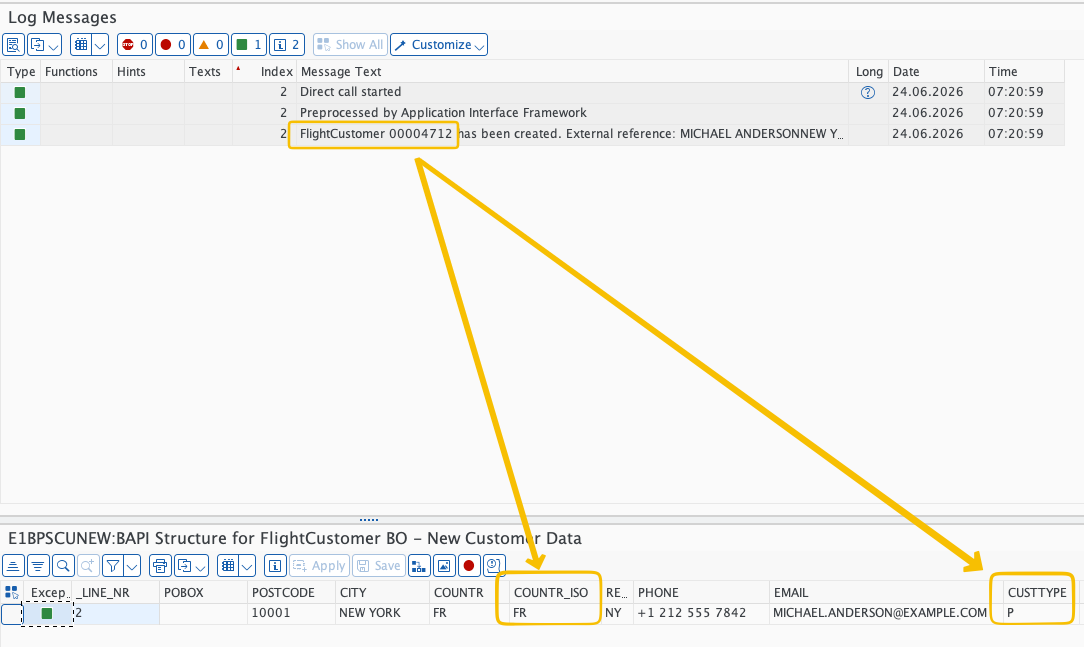 SAP test screen for the customer IDoc with the country ISO code field set to FR.