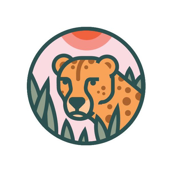 Substack profile picture for @cheetah