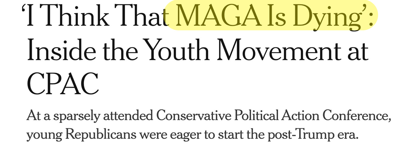 image 3.png image 3.png