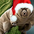 Tardigrade's avatar