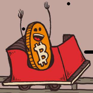 Bitcoin Roller Coaster Guy Bitcoin Roller Coaster Guy