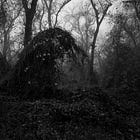 The Duality of Winter