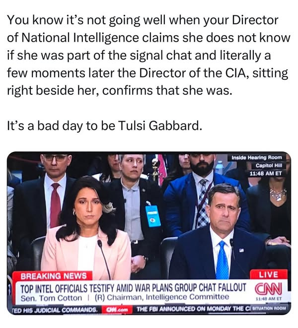 May be an image of 5 people and text that says 'You know it's not going well when your Director of National Intelligence claims she does not know if she was part of the signal chat and literally a few moments later the Director of the C, sitting right beside her, confirms that she was. It's a bad day to be Tulsi Gabbard. Inside Hearing Room Capitol Hill 11:48 AM ET TED HIS JUDICIAL COMMANDS, BREAKING NEWS TOP INTEL OFFICIALS TESTIFY AMID WAR PLANS GROUP CHAT FALLOUT Sen. Tom Cotton (R) Chairman, Intelligence Committee THE FBI ANNOUNCED ON MONDAY THE CI SITUATION OH com LIVE CNN 11:48 AM I0OM'