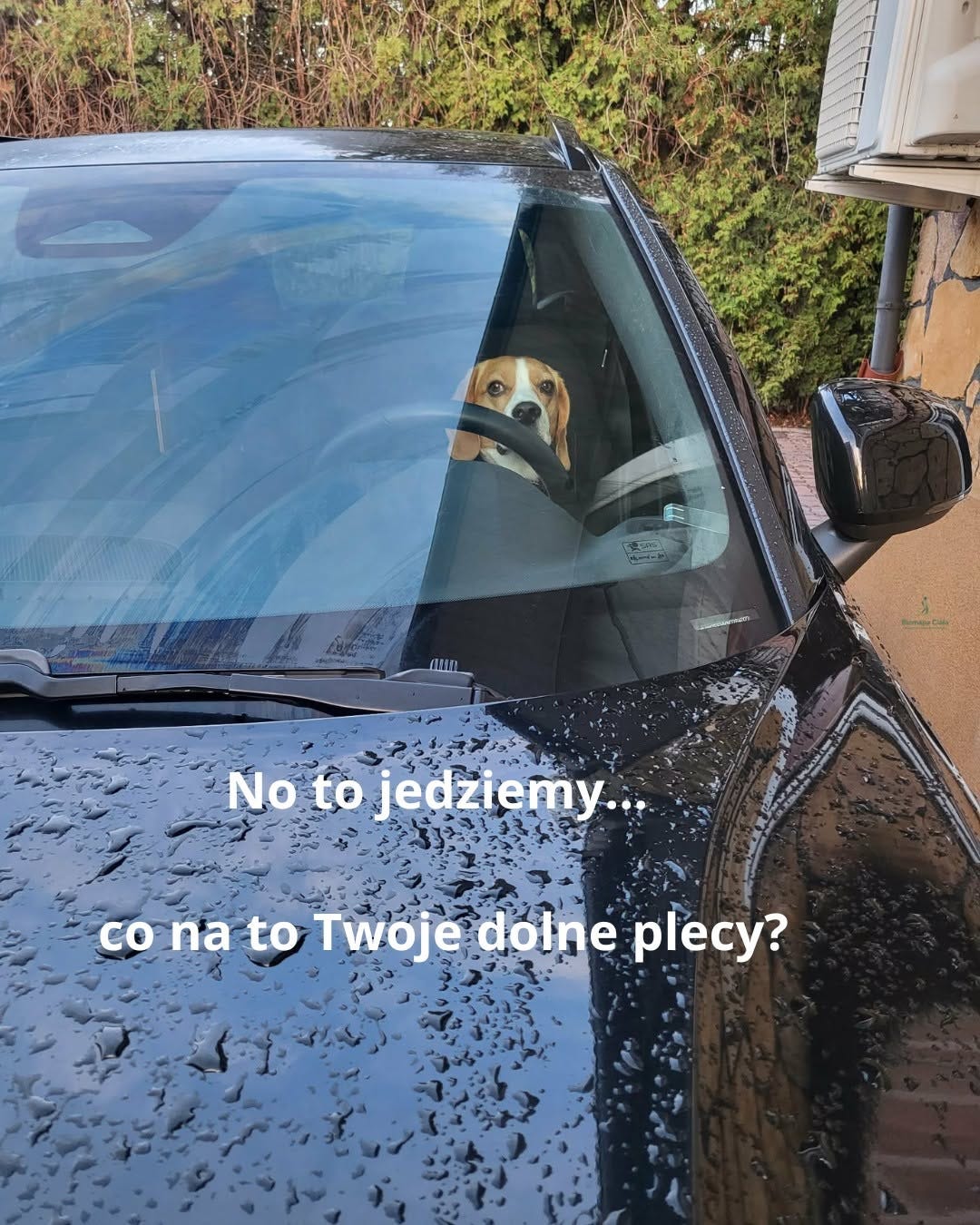 Może być zdjęciem przedstawiającym samochód i tekst Może być zdjęciem przedstawiającym samochód i tekst
