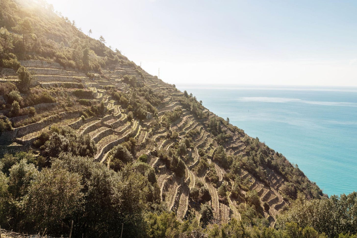 Beautiful view of the vineyards mountain and sea. Cinque Terre, Italy. Beautiful view of the vineyards mountain and sea. Cinque Terre, Italy.